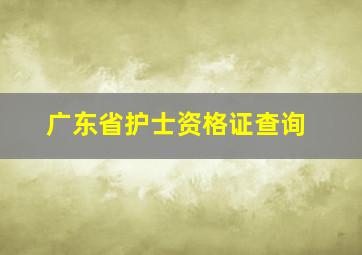 广东省护士资格证查询