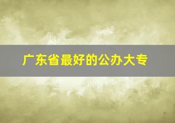 广东省最好的公办大专