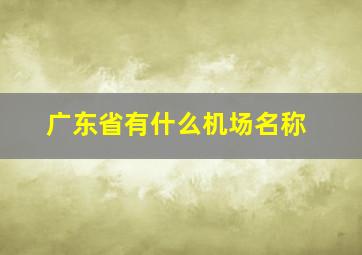 广东省有什么机场名称