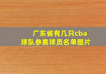 广东省有几只cba球队参赛球员名单图片