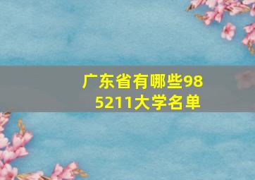 广东省有哪些985211大学名单