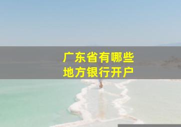 广东省有哪些地方银行开户