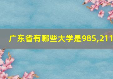 广东省有哪些大学是985,211