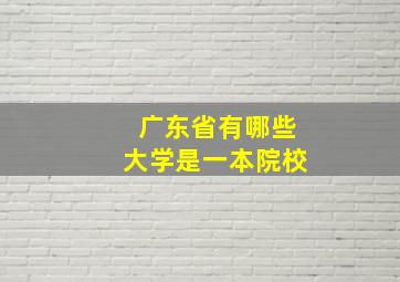 广东省有哪些大学是一本院校