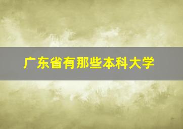 广东省有那些本科大学