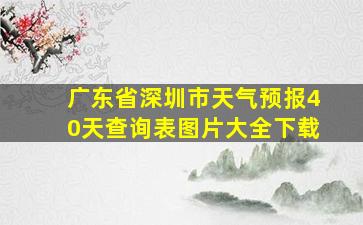 广东省深圳市天气预报40天查询表图片大全下载