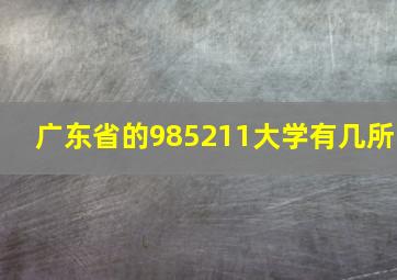 广东省的985211大学有几所