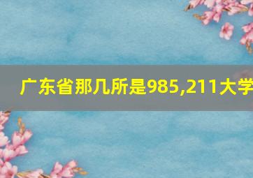 广东省那几所是985,211大学