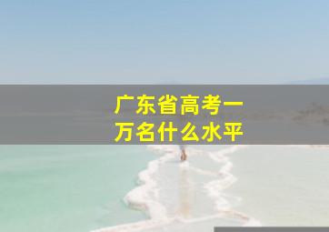 广东省高考一万名什么水平