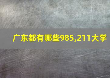 广东都有哪些985,211大学