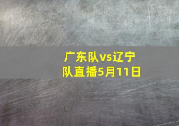 广东队vs辽宁队直播5月11日