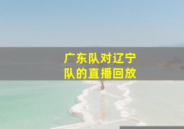 广东队对辽宁队的直播回放