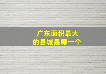 广东面积最大的县城是哪一个