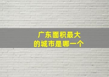 广东面积最大的城市是哪一个