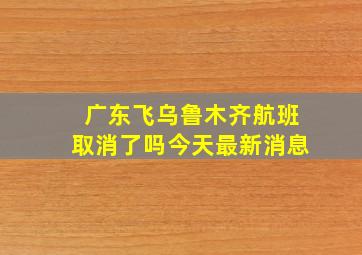 广东飞乌鲁木齐航班取消了吗今天最新消息