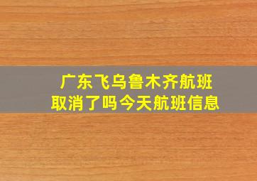 广东飞乌鲁木齐航班取消了吗今天航班信息