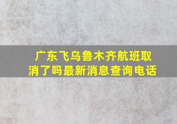 广东飞乌鲁木齐航班取消了吗最新消息查询电话