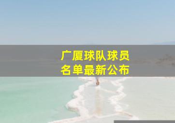 广厦球队球员名单最新公布