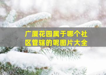 广厦花园属于哪个社区管辖的呢图片大全