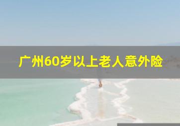 广州60岁以上老人意外险