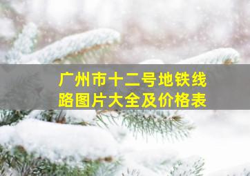 广州市十二号地铁线路图片大全及价格表