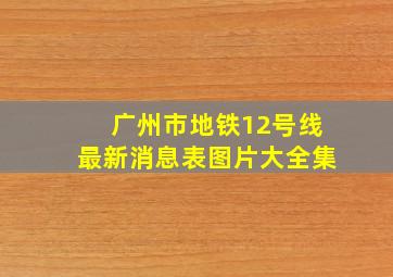 广州市地铁12号线最新消息表图片大全集