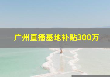 广州直播基地补贴300万