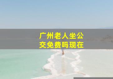 广州老人坐公交免费吗现在