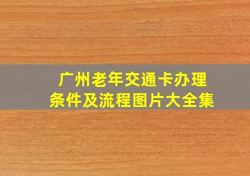 广州老年交通卡办理条件及流程图片大全集