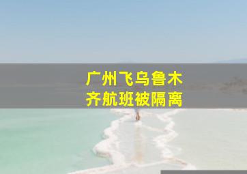 广州飞乌鲁木齐航班被隔离