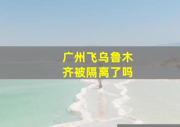 广州飞乌鲁木齐被隔离了吗