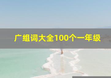 广组词大全100个一年级