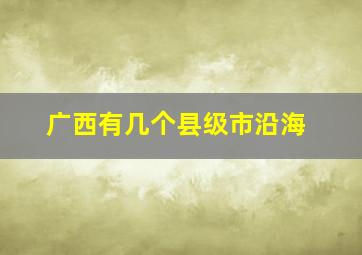 广西有几个县级市沿海