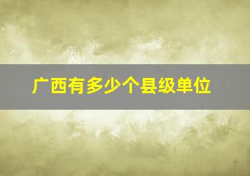 广西有多少个县级单位