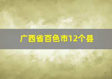 广西省百色市12个县