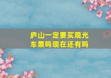 庐山一定要买观光车票吗现在还有吗