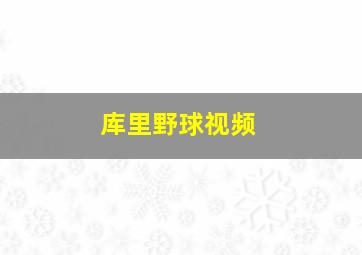 库里野球视频