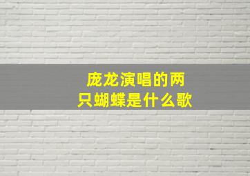 庞龙演唱的两只蝴蝶是什么歌