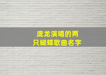 庞龙演唱的两只蝴蝶歌曲名字