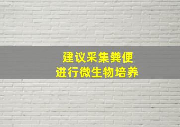 建议采集粪便进行微生物培养