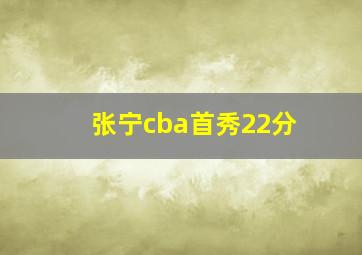 张宁cba首秀22分