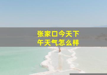 张家口今天下午天气怎么样