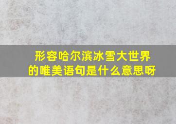 形容哈尔滨冰雪大世界的唯美语句是什么意思呀