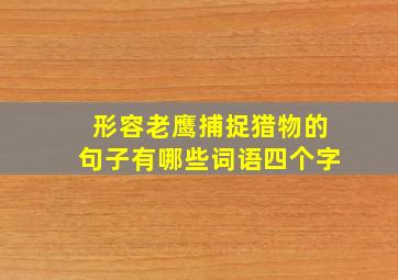 形容老鹰捕捉猎物的句子有哪些词语四个字