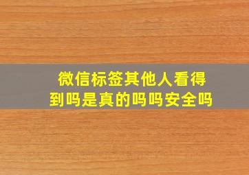 微信标签其他人看得到吗是真的吗吗安全吗