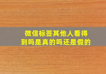 微信标签其他人看得到吗是真的吗还是假的