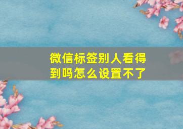 微信标签别人看得到吗怎么设置不了