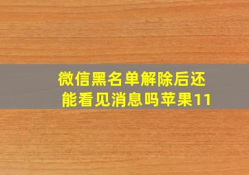 微信黑名单解除后还能看见消息吗苹果11