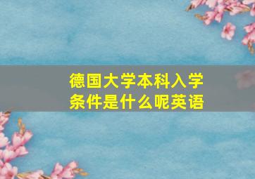 德国大学本科入学条件是什么呢英语