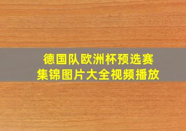 德国队欧洲杯预选赛集锦图片大全视频播放